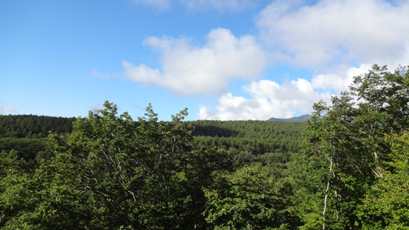 宿泊棟からの風景