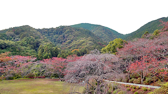 思親大宮殿の裏にある広場