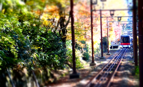 紅葉と箱根登山ケーブルカー