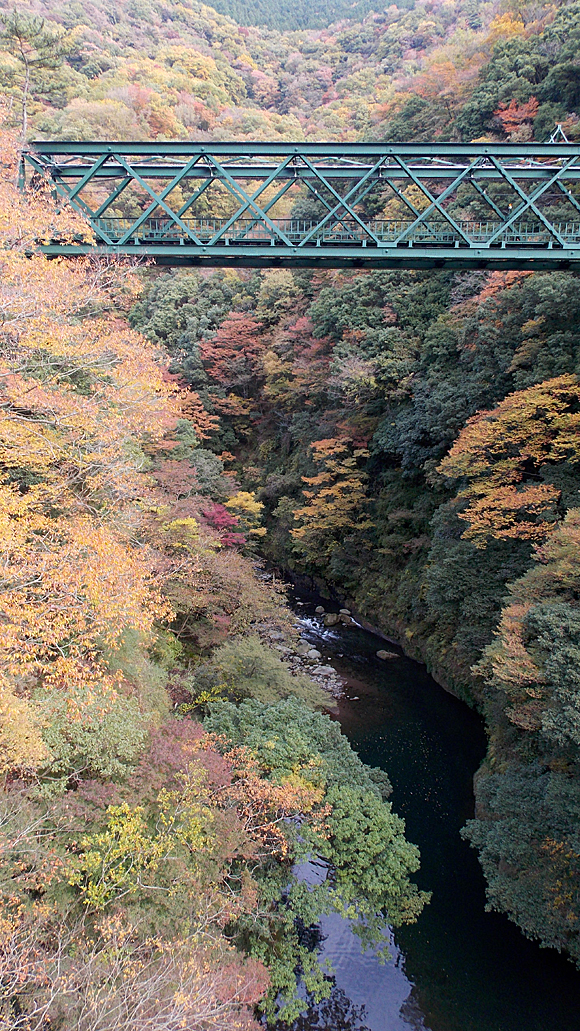 早川と箱根登山鉄道の陸橋と紅葉