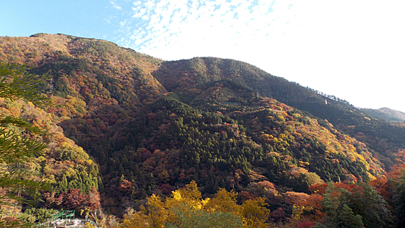 箱根で紅葉狩り