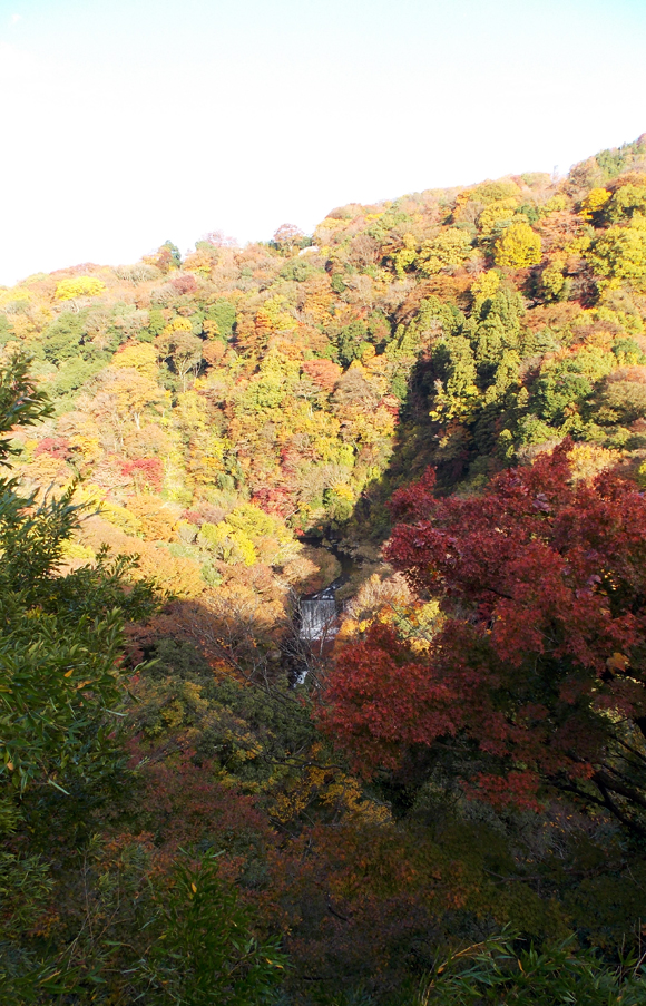箱根で紅葉狩りを楽しむ