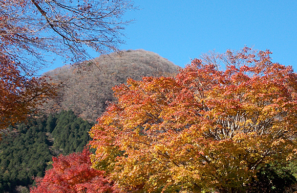 箱根の紅葉