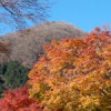 箱根で紅葉狩り