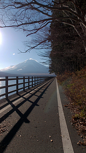 山中湖とサイクリングロードと富士山