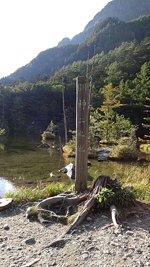 上高地・明神二之池とドアラ