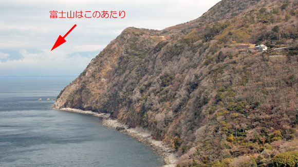 静岡県沼津市井田の「煌めきの丘」