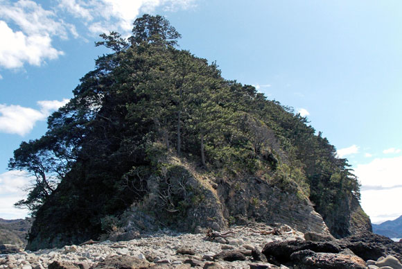 三四郎島の象島