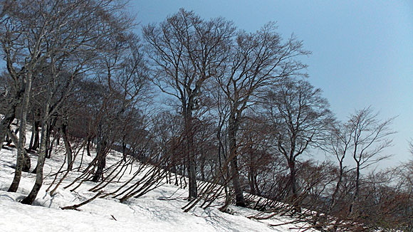 山形県・月山スキー場