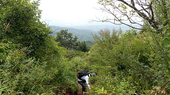 石割山から平尾山へ