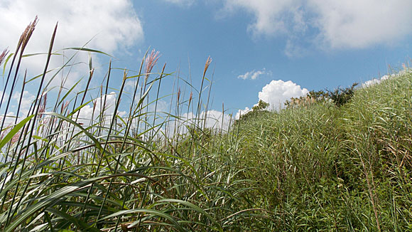 平尾山山頂