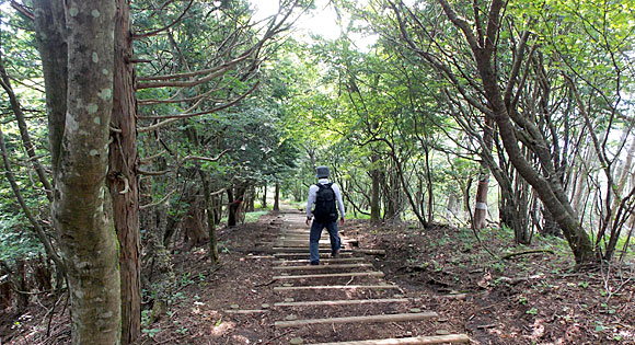 大平山からの下りの階段