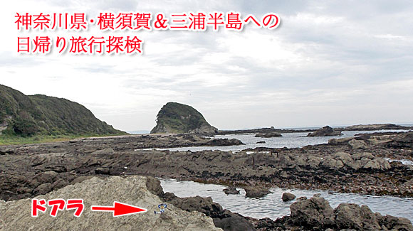 自動車隊で行く神奈川県は横須賀＆三浦半島への日帰り旅行探検！