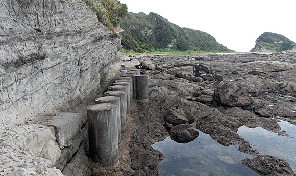 関東ふれあいの道 三浦・岩礁のみち