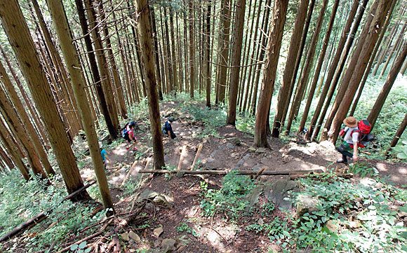 大岳山登山・ロックガーデン