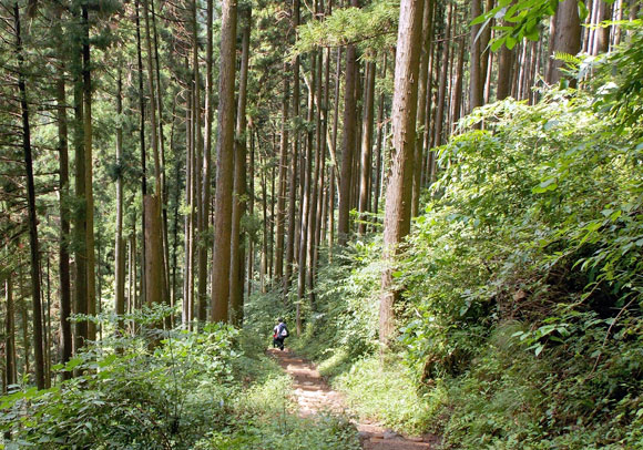 大岳山登山・ロックガーデン