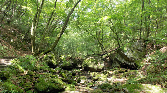 大岳山登山・ロックガーデン