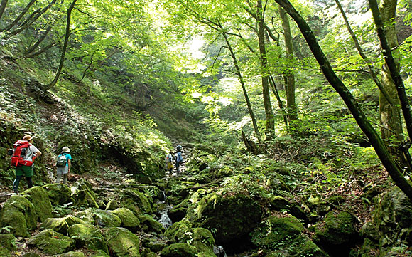 大岳山登山・ロックガーデン