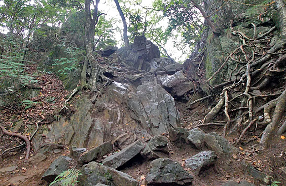 大岳山登山・山頂まじか