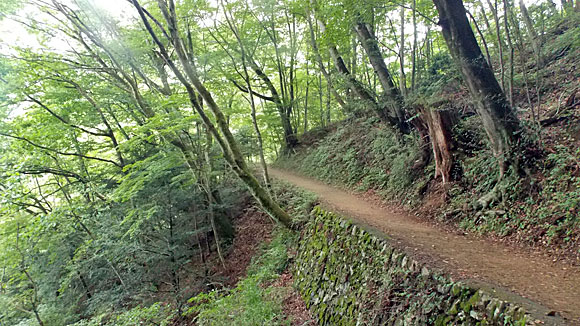 大岳山登山