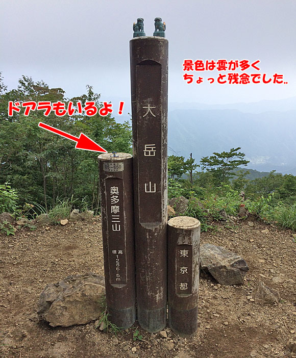 大岳山登山・大岳山山頂