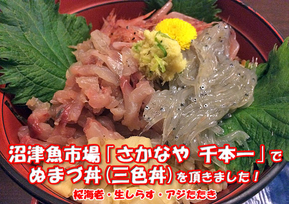 沼津魚市場「さかなや 千本一」でぬまづ丼（三色丼）を食べてきた！
