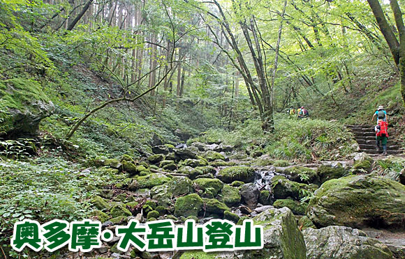 奥多摩・大岳山登山