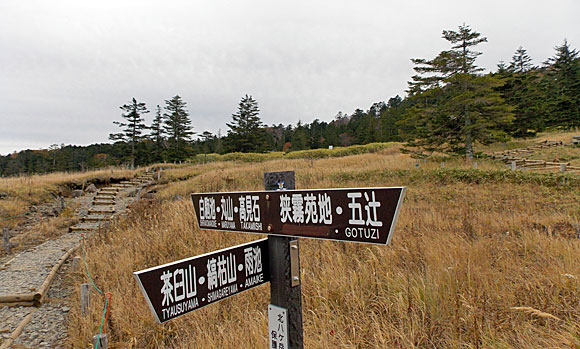 長野県北八ヶ岳・丸山と高見石へ登山