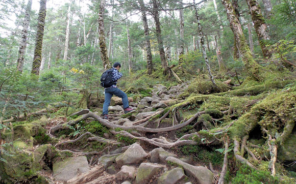 長野県北八ヶ岳・丸山と高見石へ登山