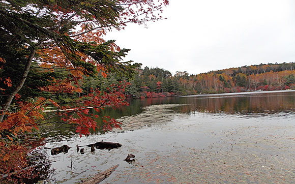 白駒池にて紅葉狩り