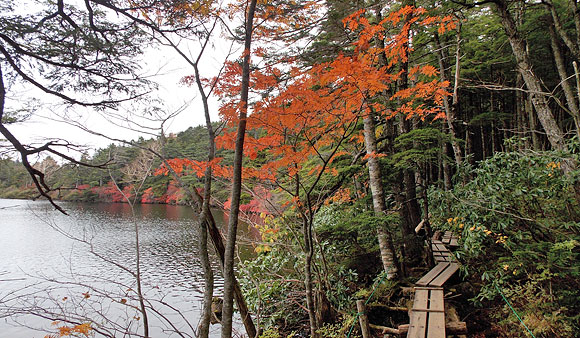 白駒池にて紅葉狩り