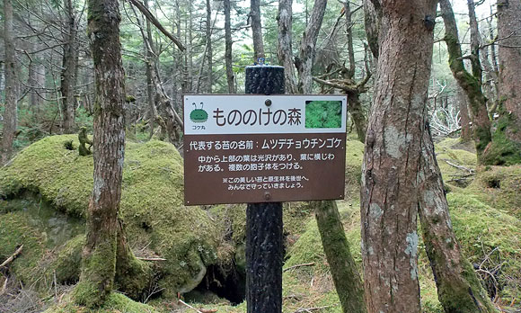 白駒池にて紅葉狩り