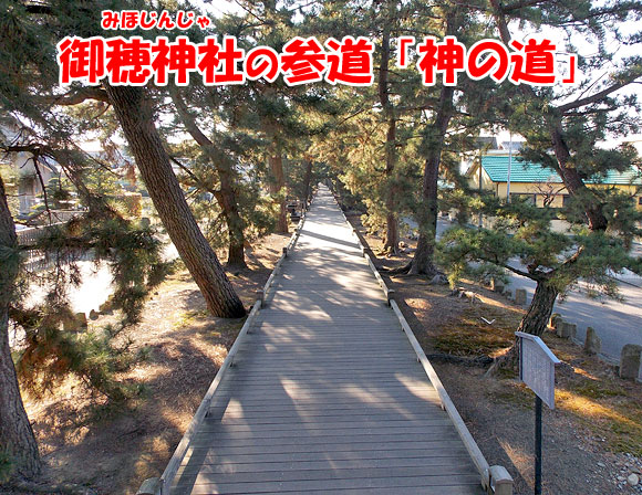 ユネスコの世界文化遺産・富士山-信仰の対象と芸術の源泉」の1つである御穂神社と参道「神の道」