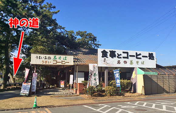 三保の松原の羽衣で桜えびのかき揚げ付きの茶そば定食を食べました！