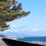 ユネスコの世界文化遺産「富士山-信仰の対象と芸術の源泉」の1つである「三保の松原」