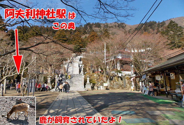 神奈川県伊勢原市・大山登山「阿夫利神社駅」