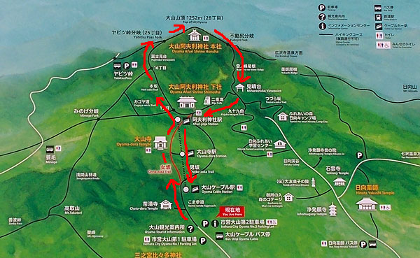 神奈川県伊勢原市・大山登山「登山コース」