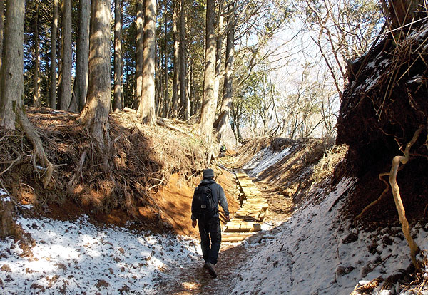 神奈川県伊勢原市・大山登山「大山山頂へ向けて出発」