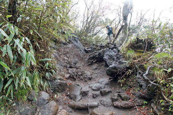 金時山登山「金時山山頂へ続く山道」