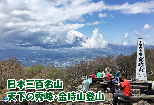 日本三百名山・箱根の金時山登山で金太郎をしてきました！