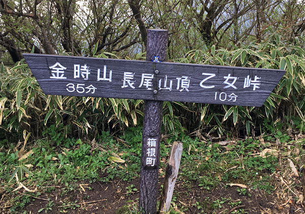 金時山登山「長尾山山頂」