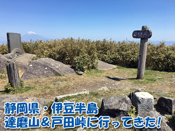 静岡県・伊豆半島の達磨山＆戸田峠へ登山に行ってきました！