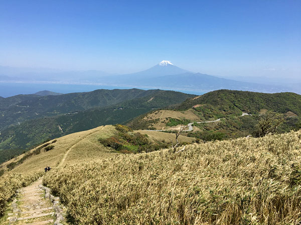 達磨山山頂から戸田峠向け出発！