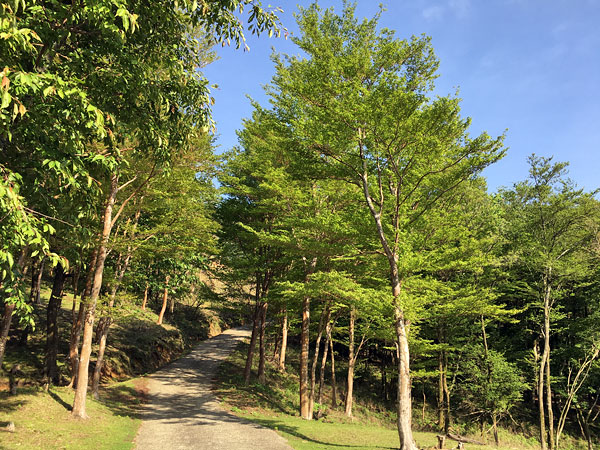 静岡県西伊豆の丹野平山頂へ向かう