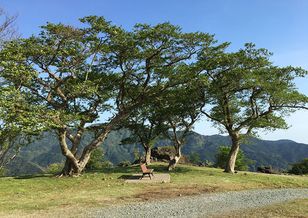 静岡県西伊豆・丹野平山頂