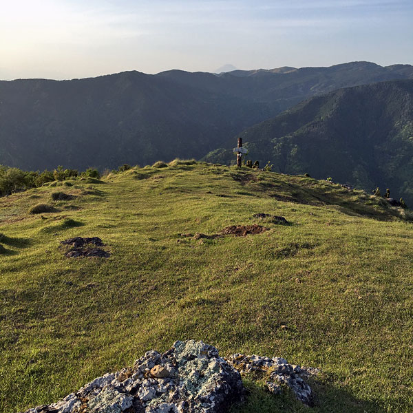 静岡県西伊豆・丹野平山頂