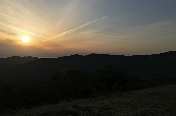 静岡県西伊豆・丹野平山頂