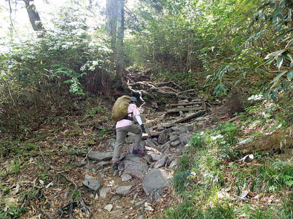 尾瀬で登山！富士見峠からアヤメ平を経て鳩待峠に向かう！