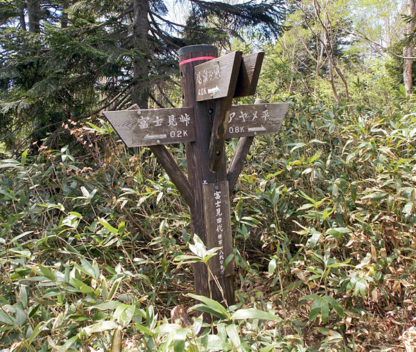 尾瀬登山・竜宮から富士見峠へ向かう途中の富士見田代