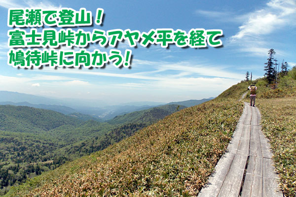 尾瀬で登山！富士見峠からアヤメ平を経て鳩待峠に向かう！